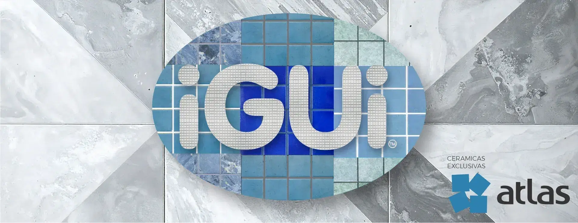 iGUi Banner